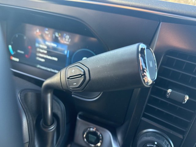 New 2026 Ford F250 Platinum w/ Tremor Off-Road Package image 19