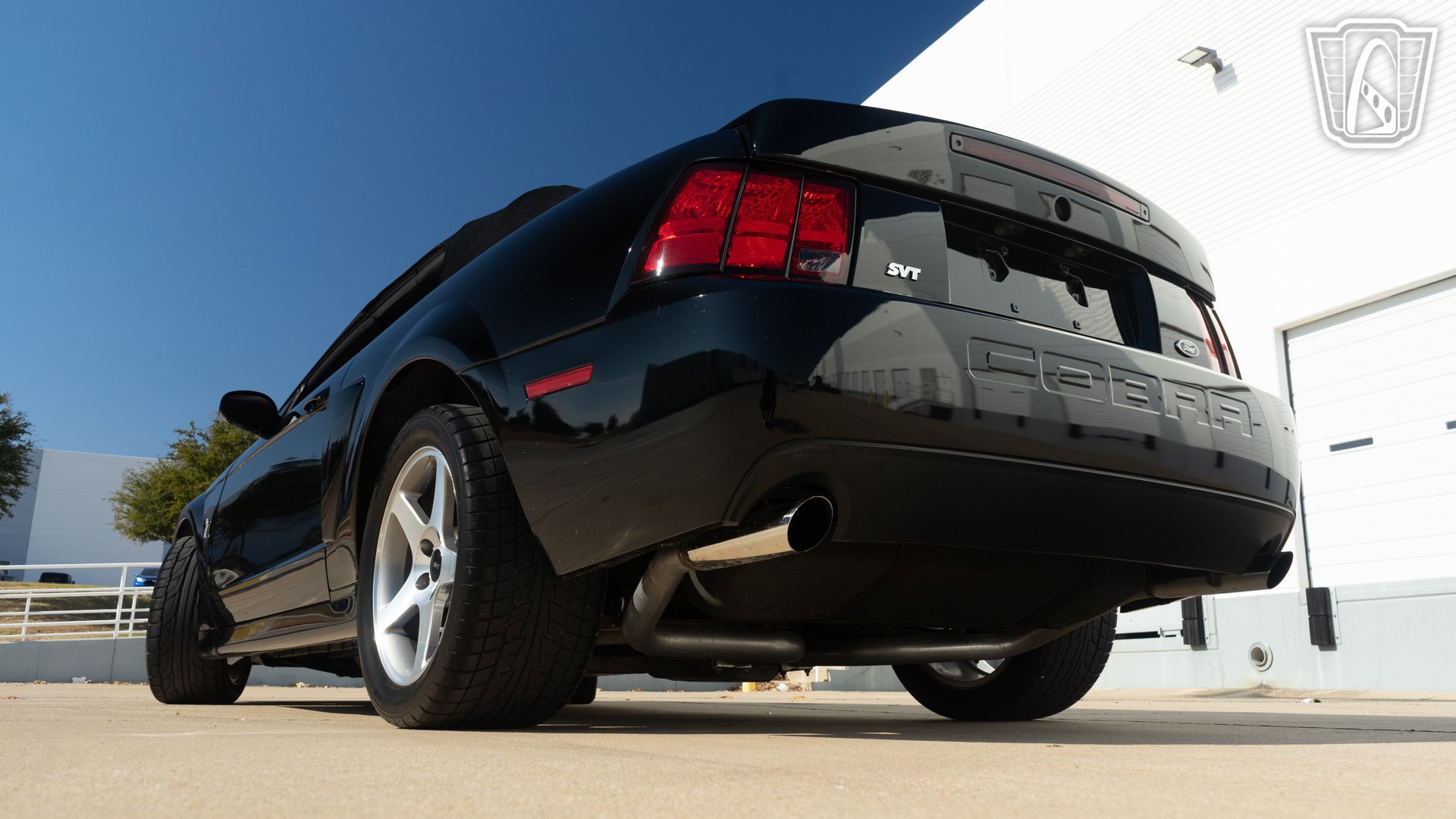 Used 2003 Ford Mustang Cobra image 10