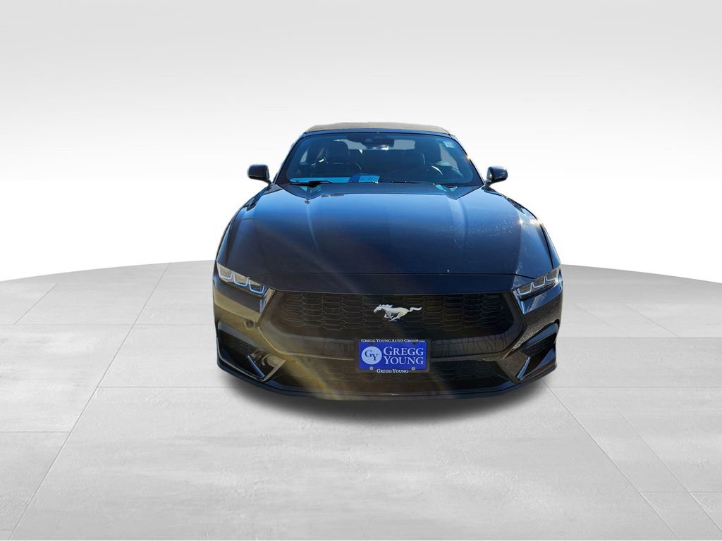 Used 2024 Ford Mustang Premium image 3