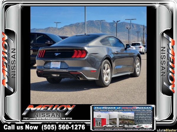 Used 2019 Ford Mustang EcoBoost image 4