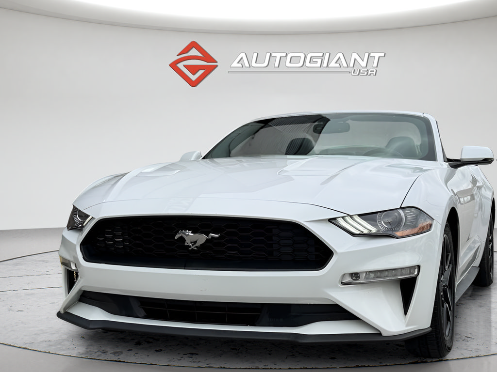 Used 2019 Ford Mustang Premium RWD image 4