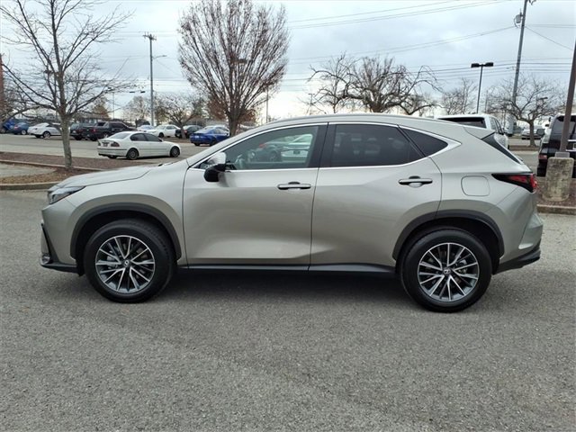 Used 2025 Lexus NX 350 AWD w/ Premium Package image 6