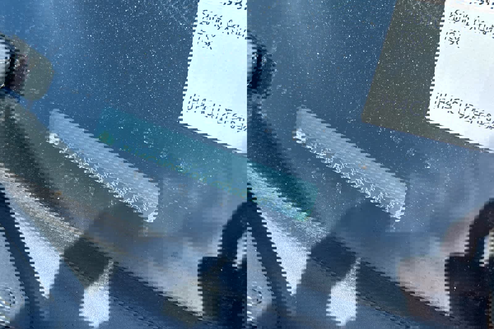 Used 2010 Acura TSX Sedan FWD image 23