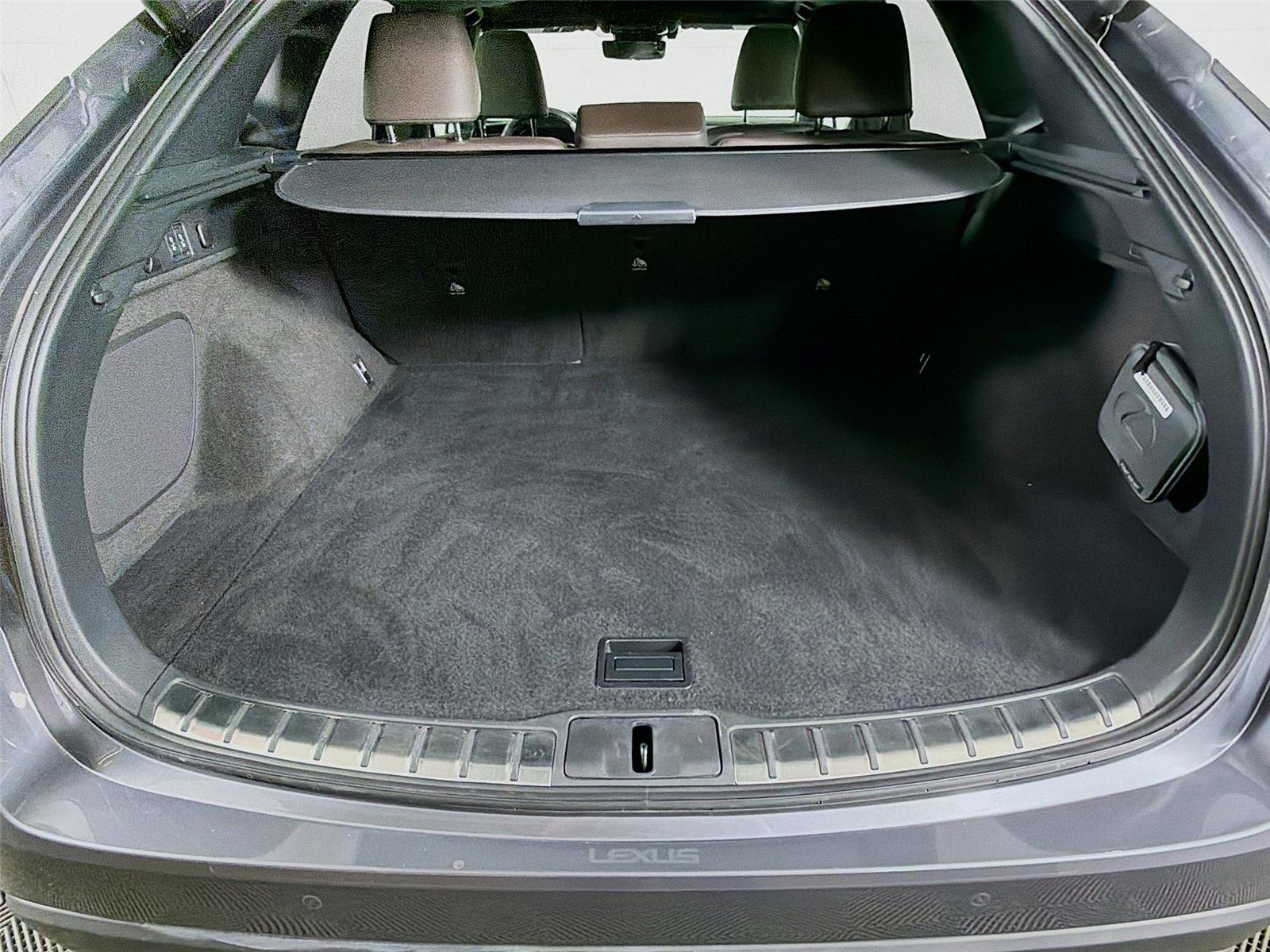 Used 2023 Lexus RX 350 w/ Cold Area Package image 26