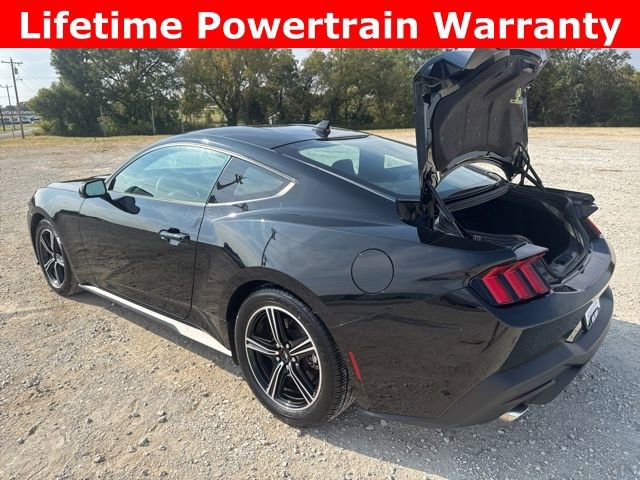 Used 2024 Ford Mustang Coupe image 4