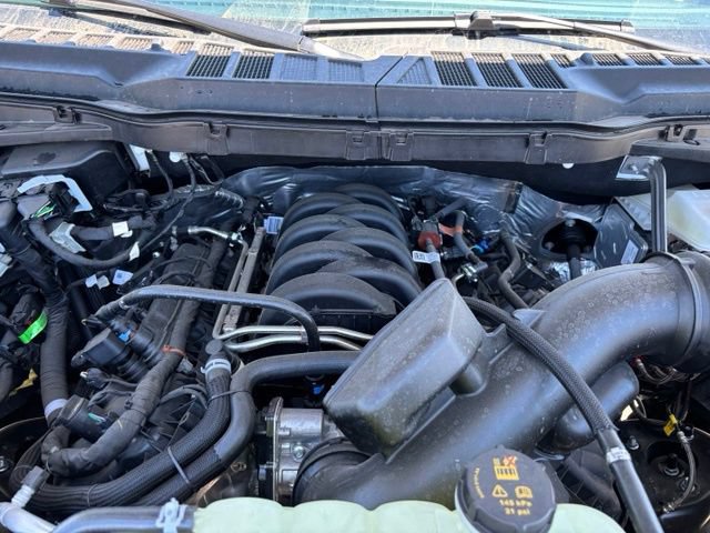New 2026 Ford F150 XLT w/ Equipment Group 302A MID AWD/4WD image 24
