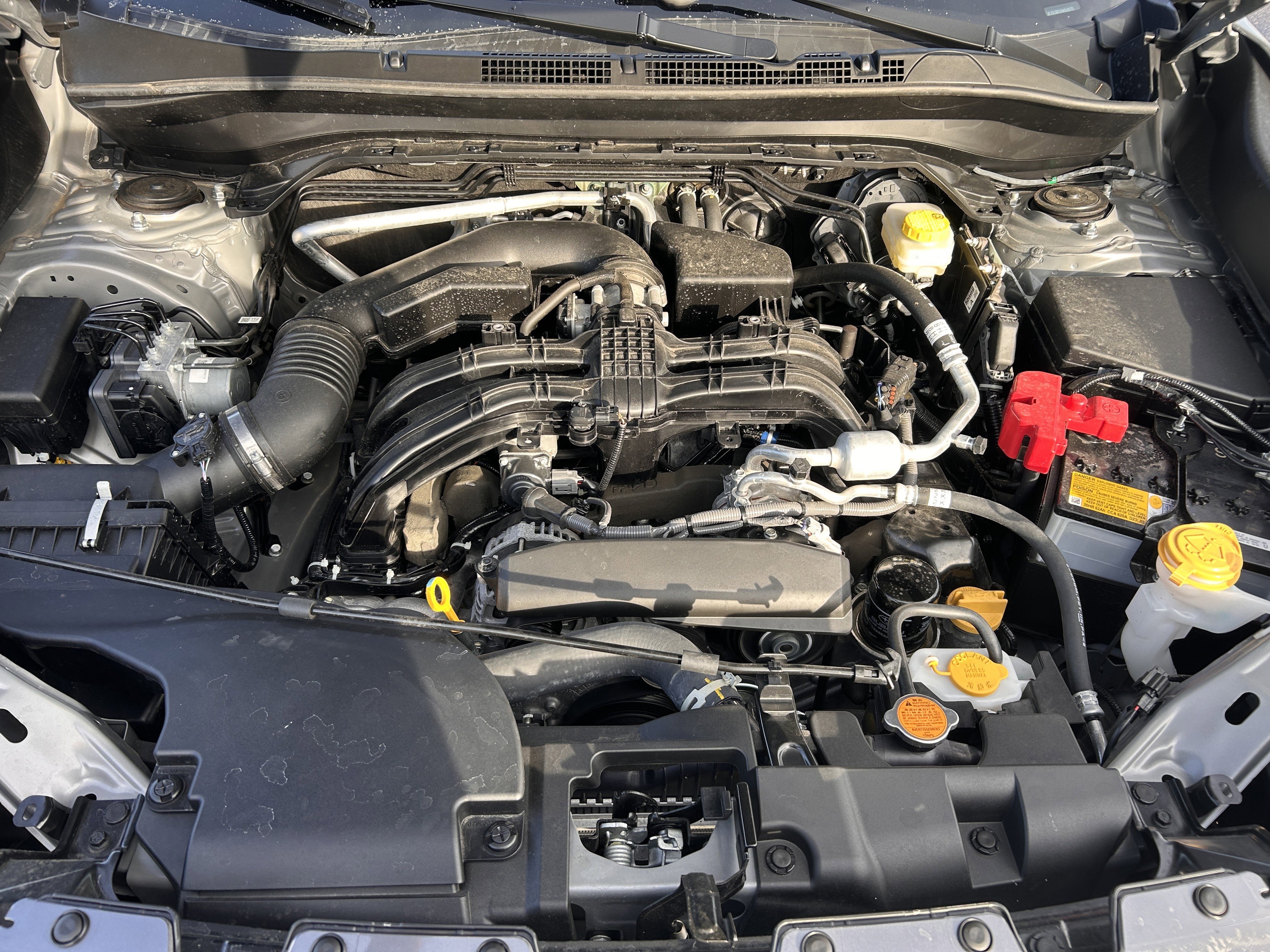 Certified 2025 Subaru Forester Premium image 9