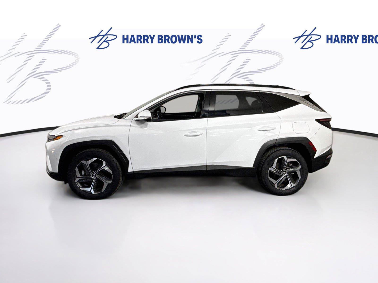 Used 2024 Hyundai Tucson Limited AWD/4WD image 28