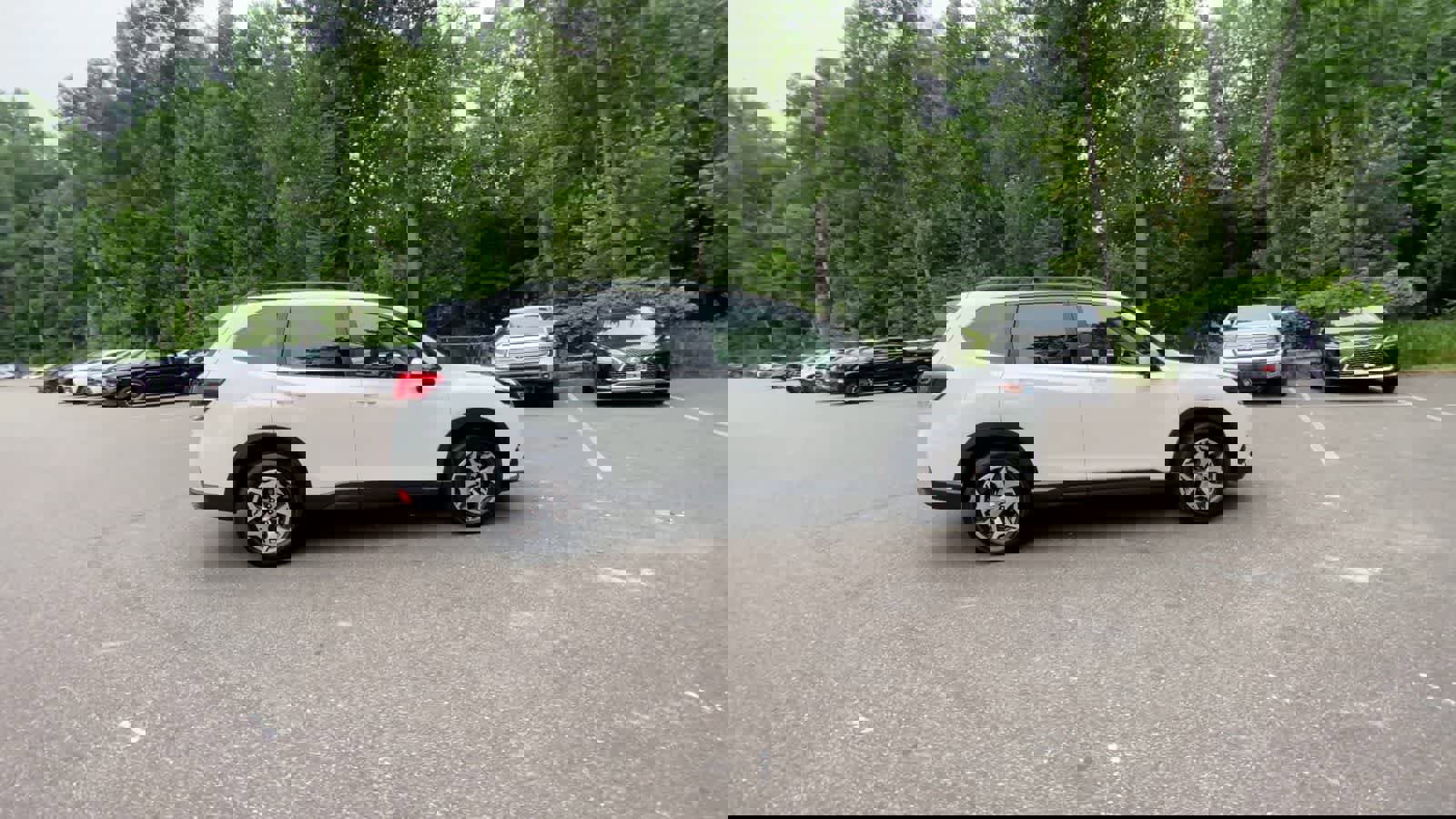 Used 2024 Subaru Forester Premium image 9