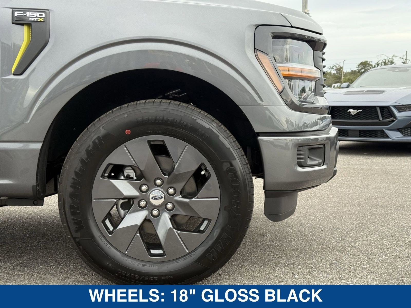 New 2025 Ford F150 STX w/ Equipment Group 200A image 12