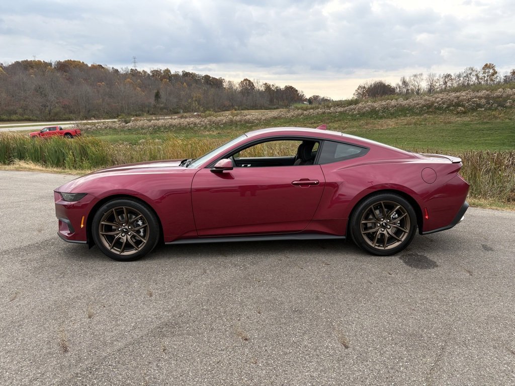 New 2026 Ford Mustang EcoBoost w/ Bronze Appearance Package image 2