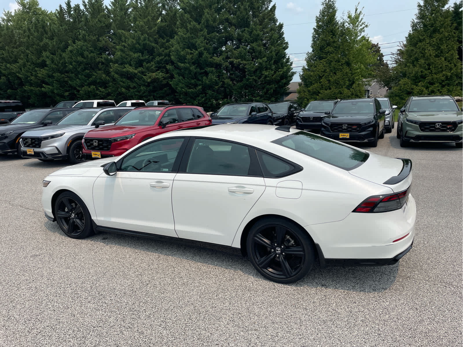 Used 2023 Honda Accord Sport image 3