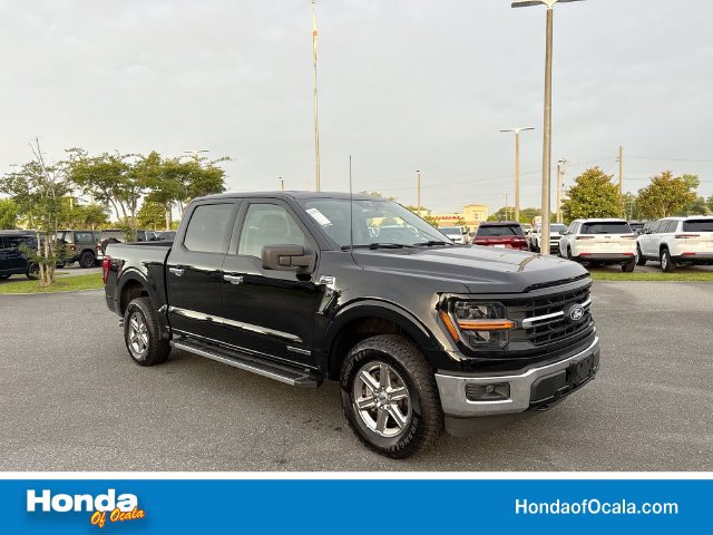 Used 2025 Ford F150 XLT w/ Equipment Group 301A Standard
