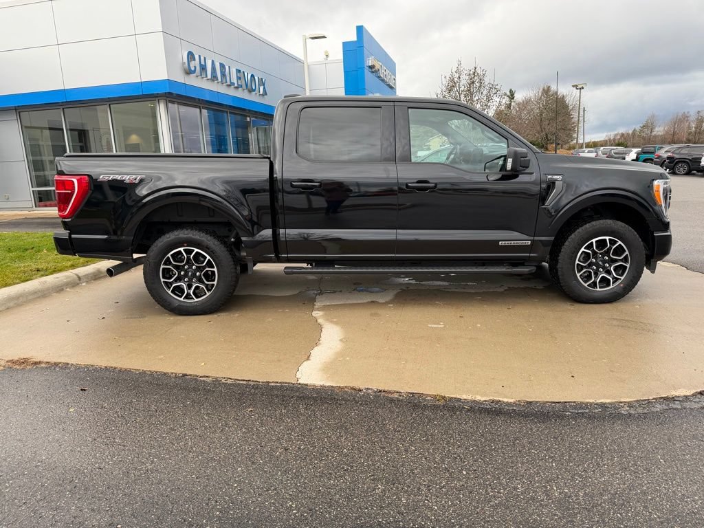 Used 2023 Ford F150 XLT w/ Equipment Group 302A High AWD/4WD image 8