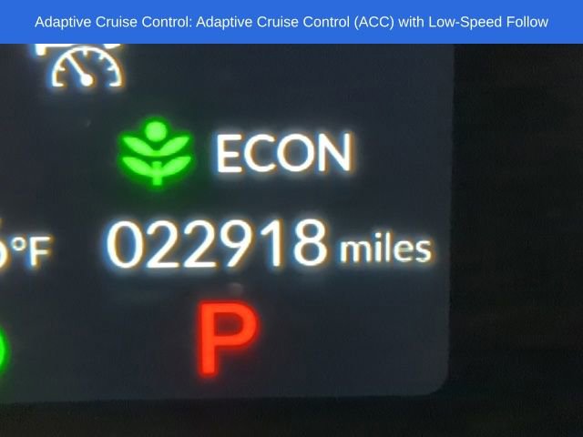 Certified 2023 Honda Civic Sport image 14