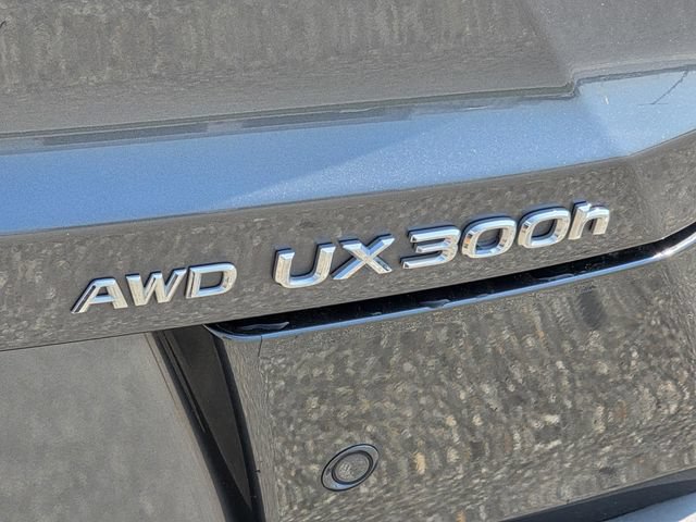 Used 2025 Lexus UX 300h AWD w/ Cold Area Package image 35