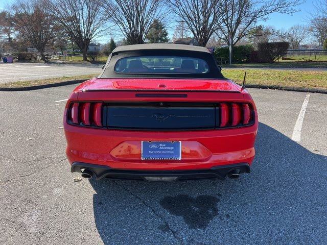 Certified 2019 Ford Mustang Premium w/ Equipment Group 201A image 8
