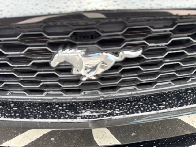 Used 2017 Ford Mustang Premium RWD image 28