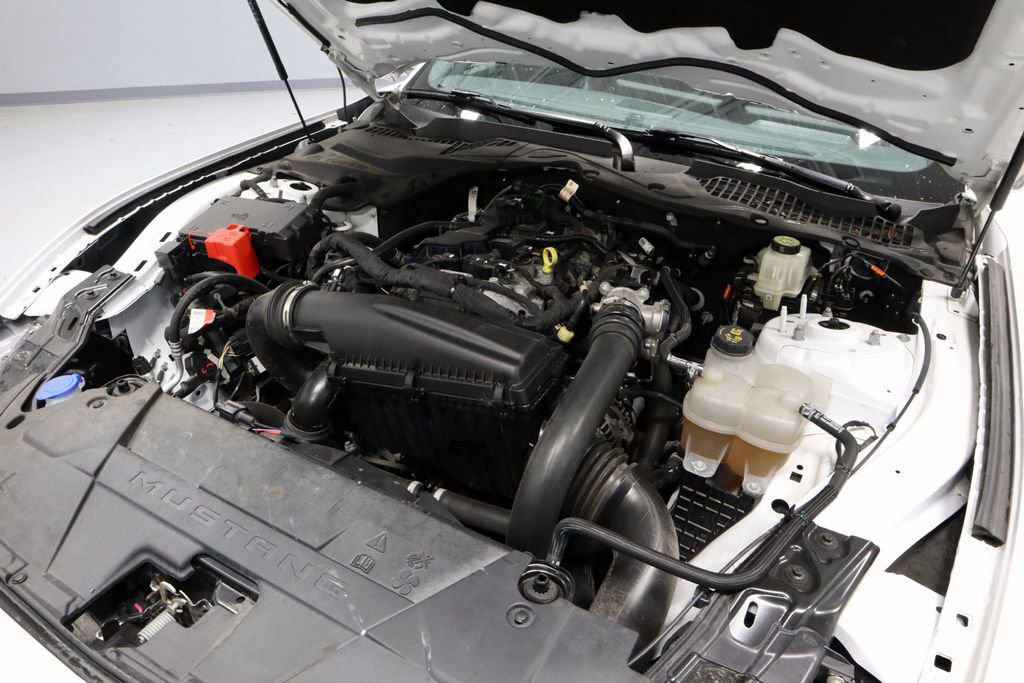 Certified 2024 Ford Mustang EcoBoost image 16