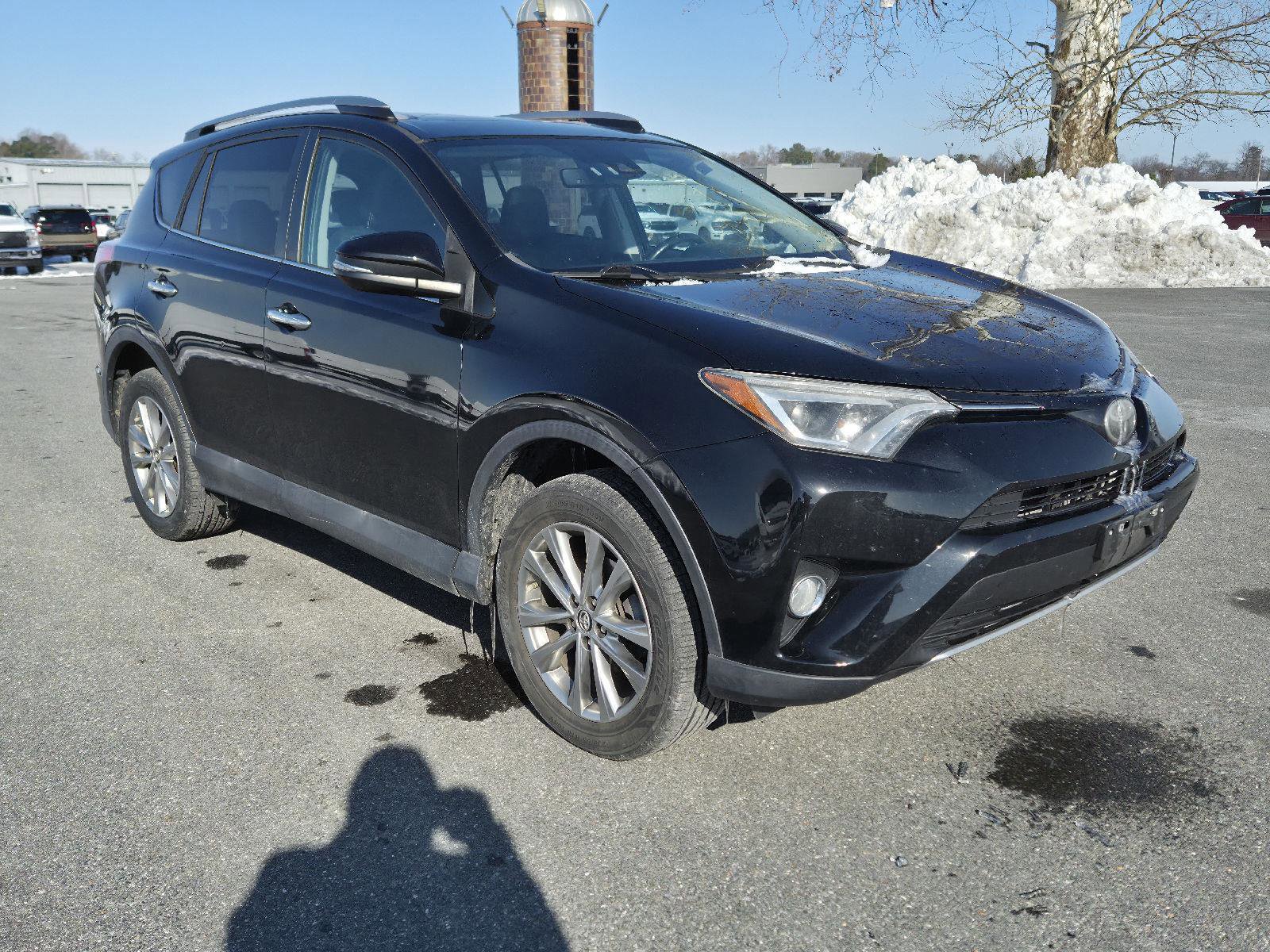 Used 2018 Toyota RAV4 Limited w/ All Weather Liner Package image 3