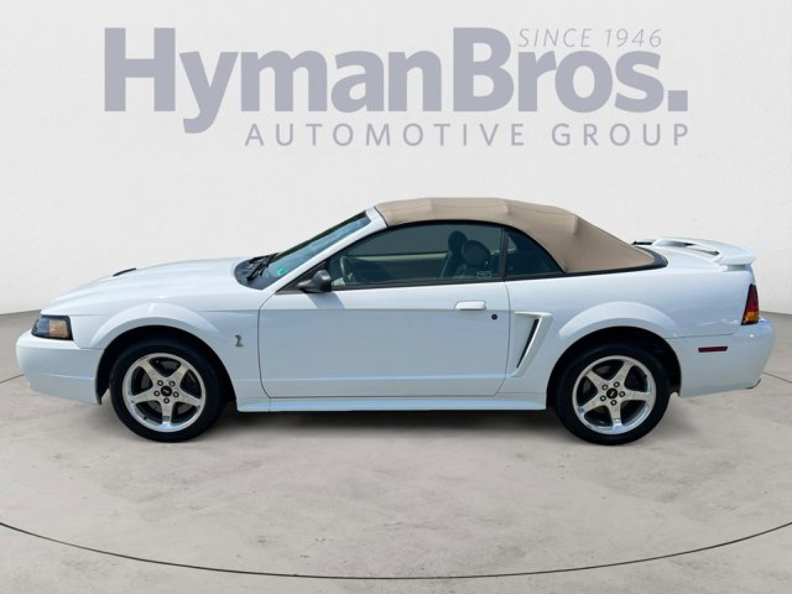 Used 2001 Ford Mustang Cobra image 6