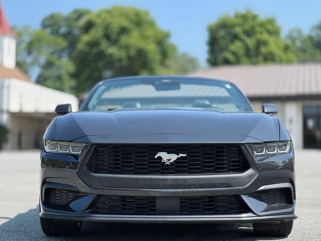 Used 2024 Ford Mustang Premium RWD image 2