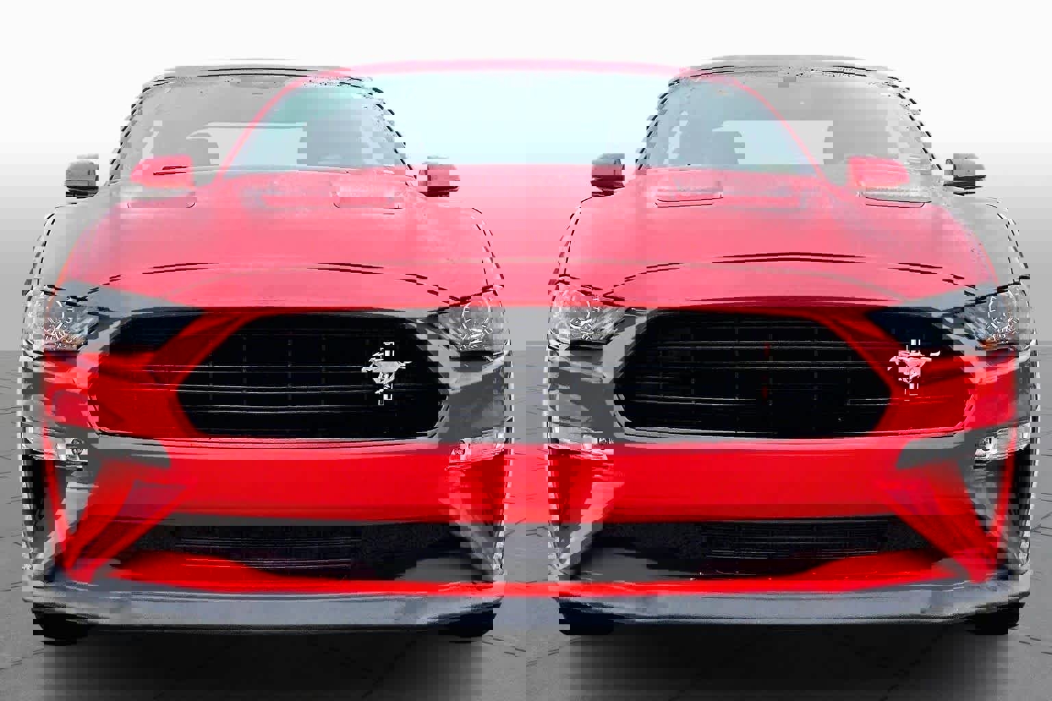 Used 2020 Ford Mustang GT Premium w/ Equipment Group 401A image 3