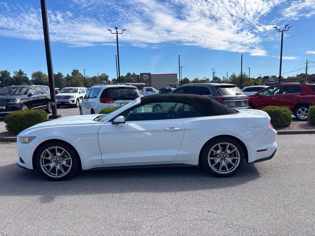 Used 2015 Ford Mustang Premium w/ Equipment Group 201A RWD image 3