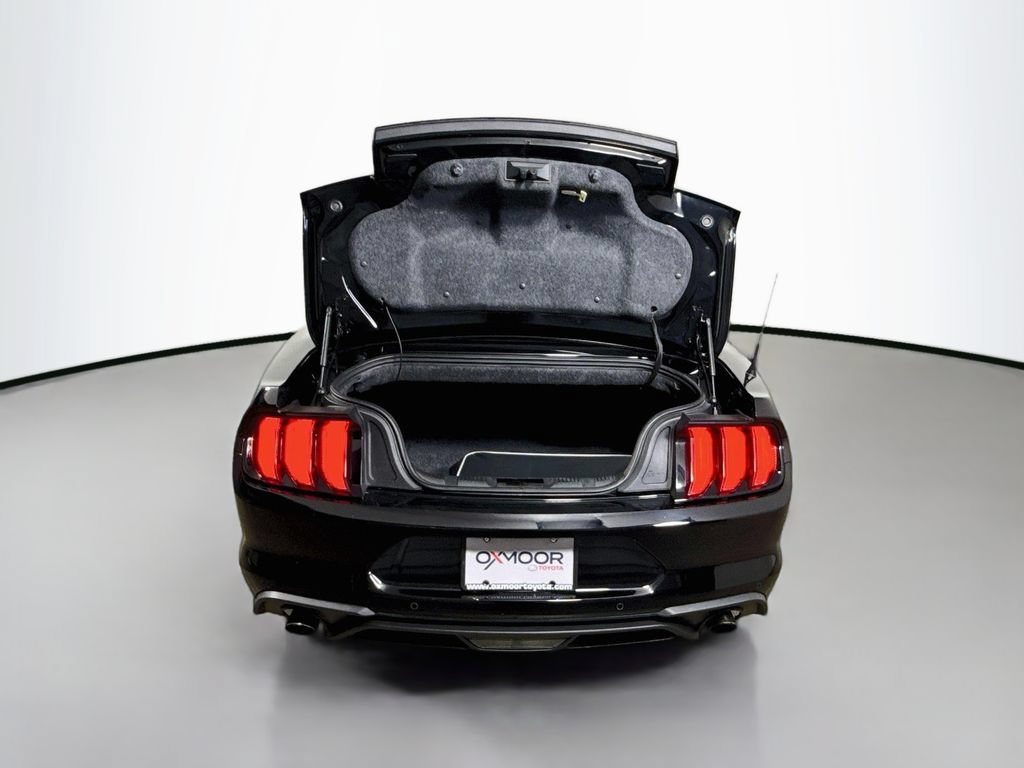 Used 2019 Ford Mustang Premium w/ Equipment Group 201A RWD image 24