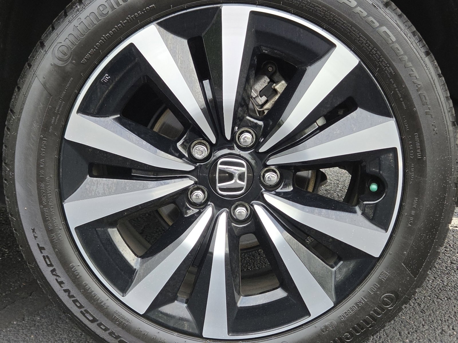 Certified 2024 Honda Civic EX-L image 13