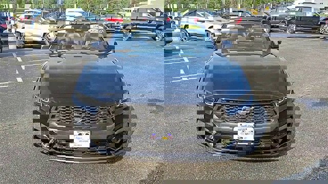 Certified 2024 Ford Mustang Premium image 3