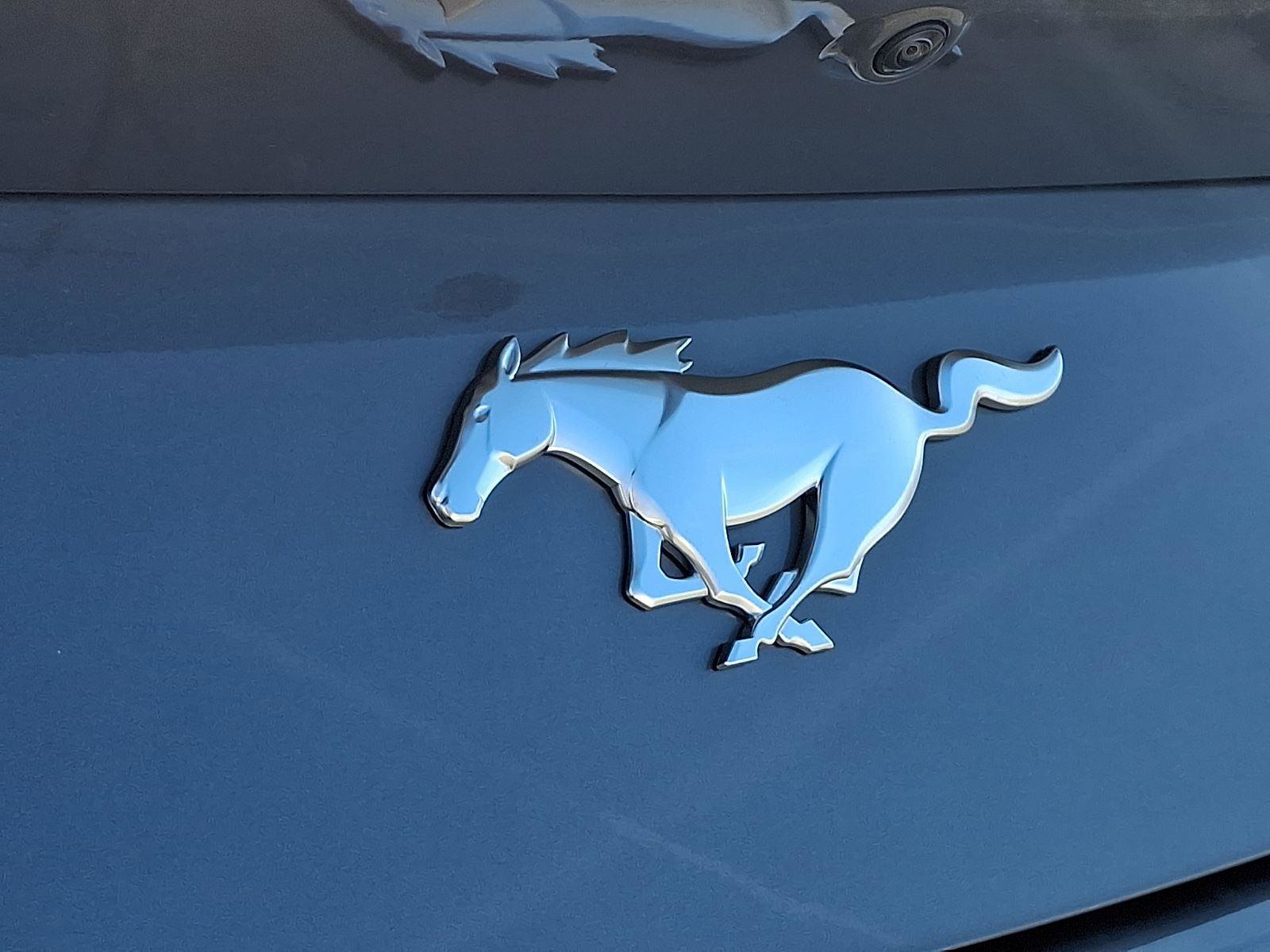 New 2026 Ford Mustang Coupe image 20