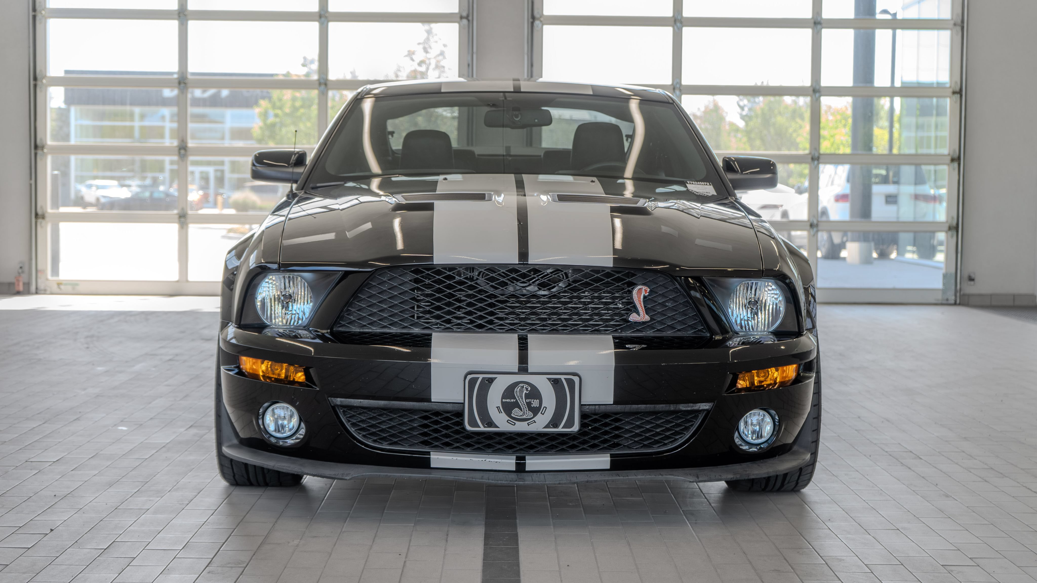 Used 2007 Ford Mustang Shelby GT500 RWD image 11