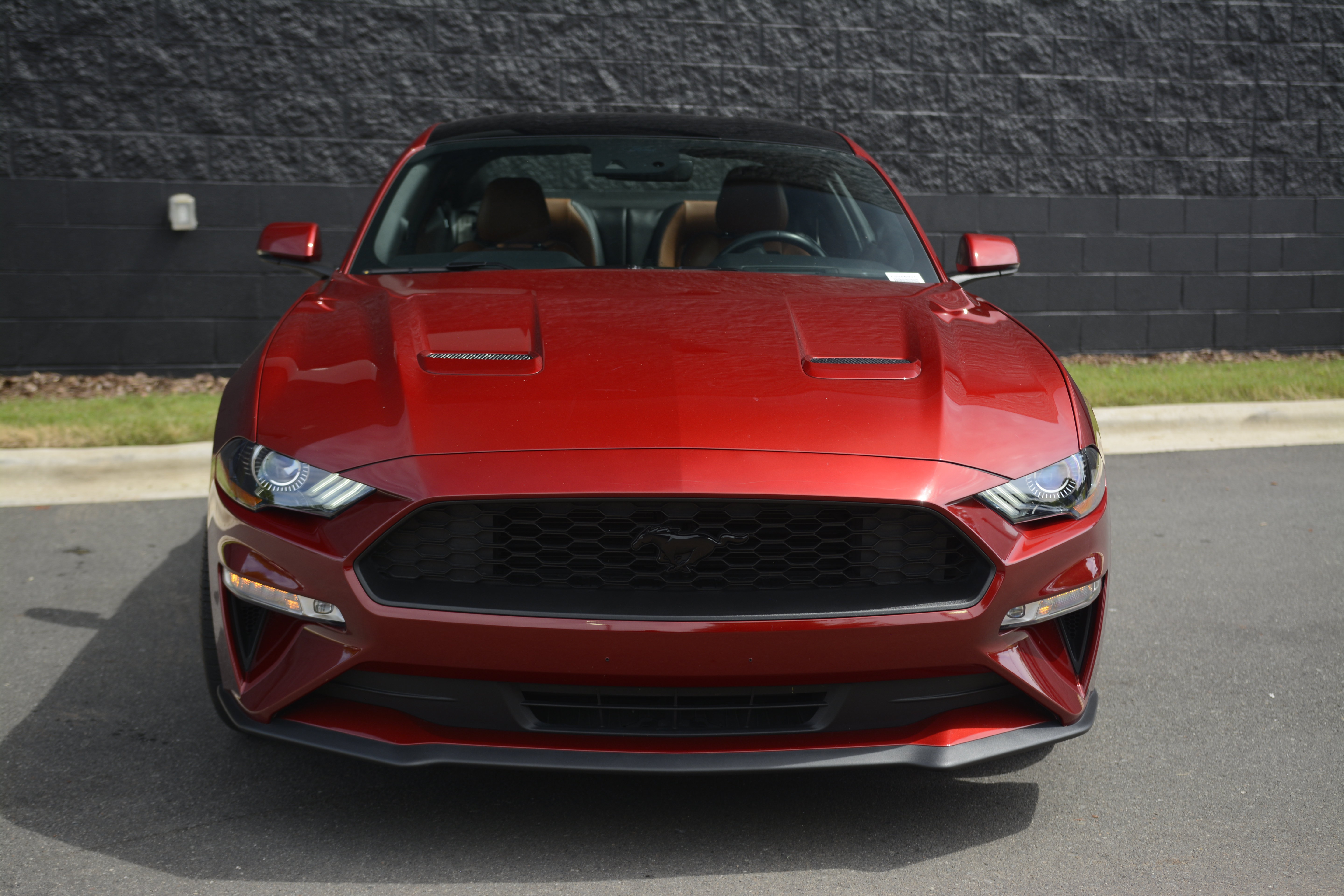 Used 2019 Ford Mustang Premium w/ Ford Safe & Smart Package RWD image 10