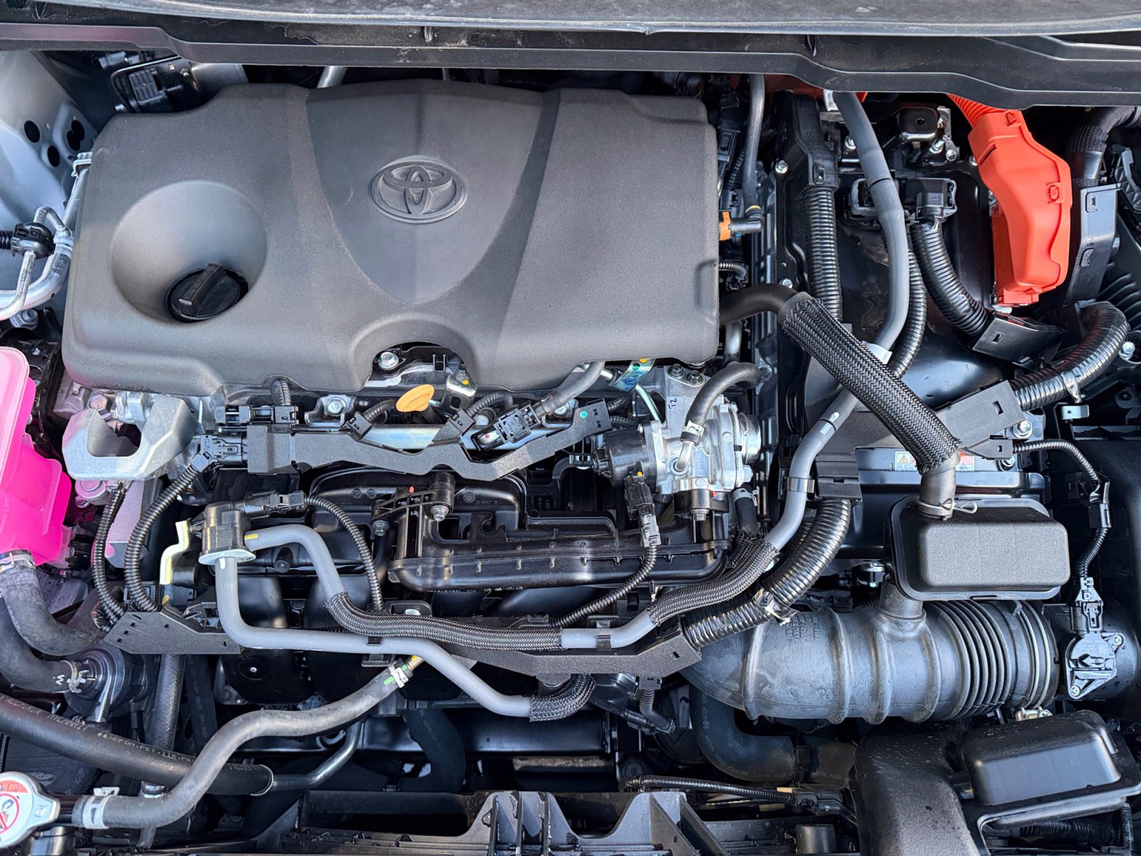 Used 2025 Toyota Sienna XLE Woodland Edition image 25