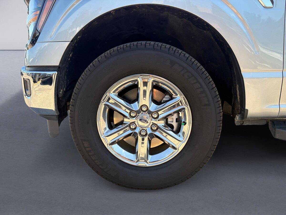 Used 2025 Ford F150 XLT w/ Equipment Group 301A Standard AWD/4WD image 14