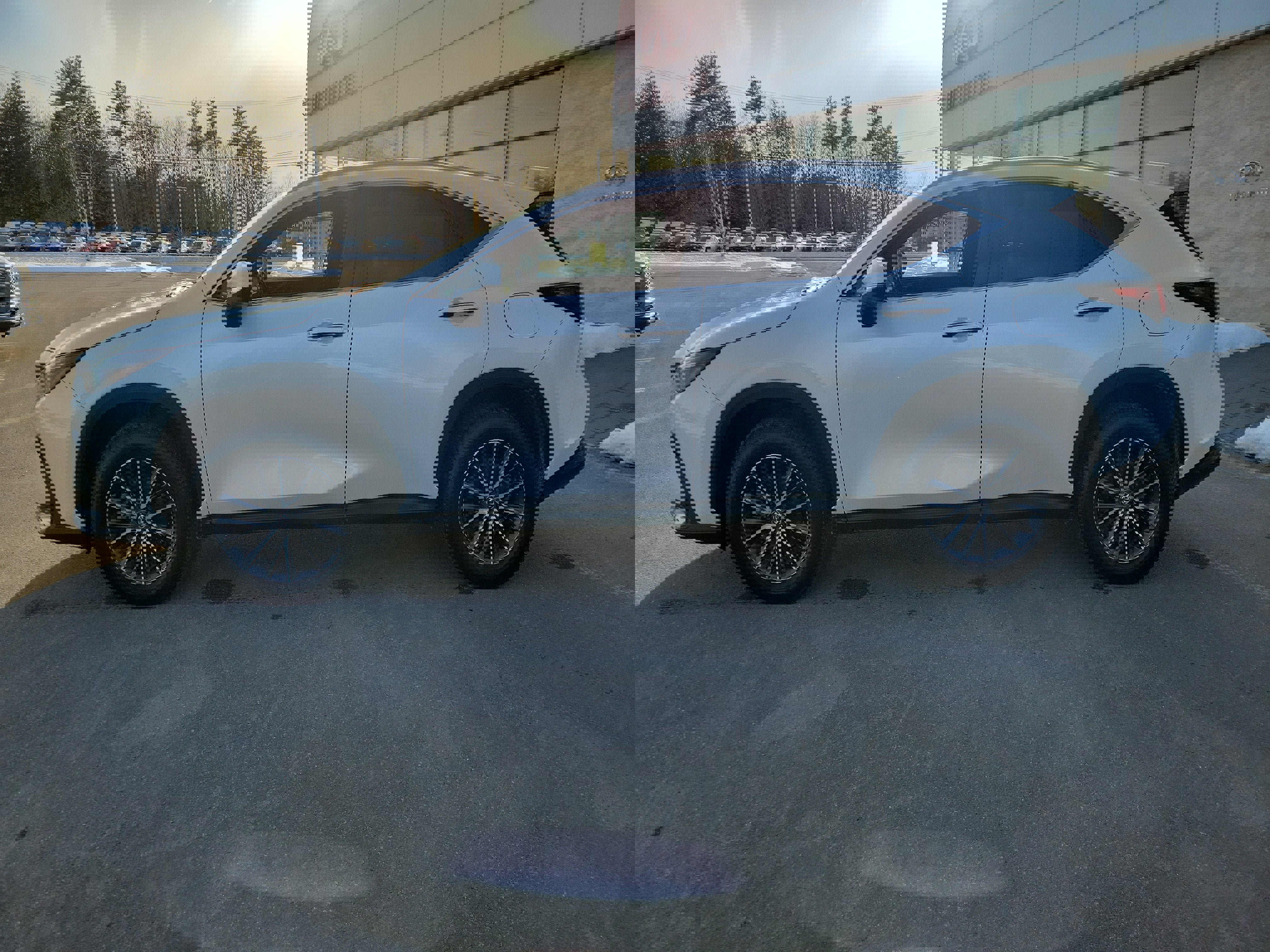 Used 2024 Lexus NX 350h AWD image 2