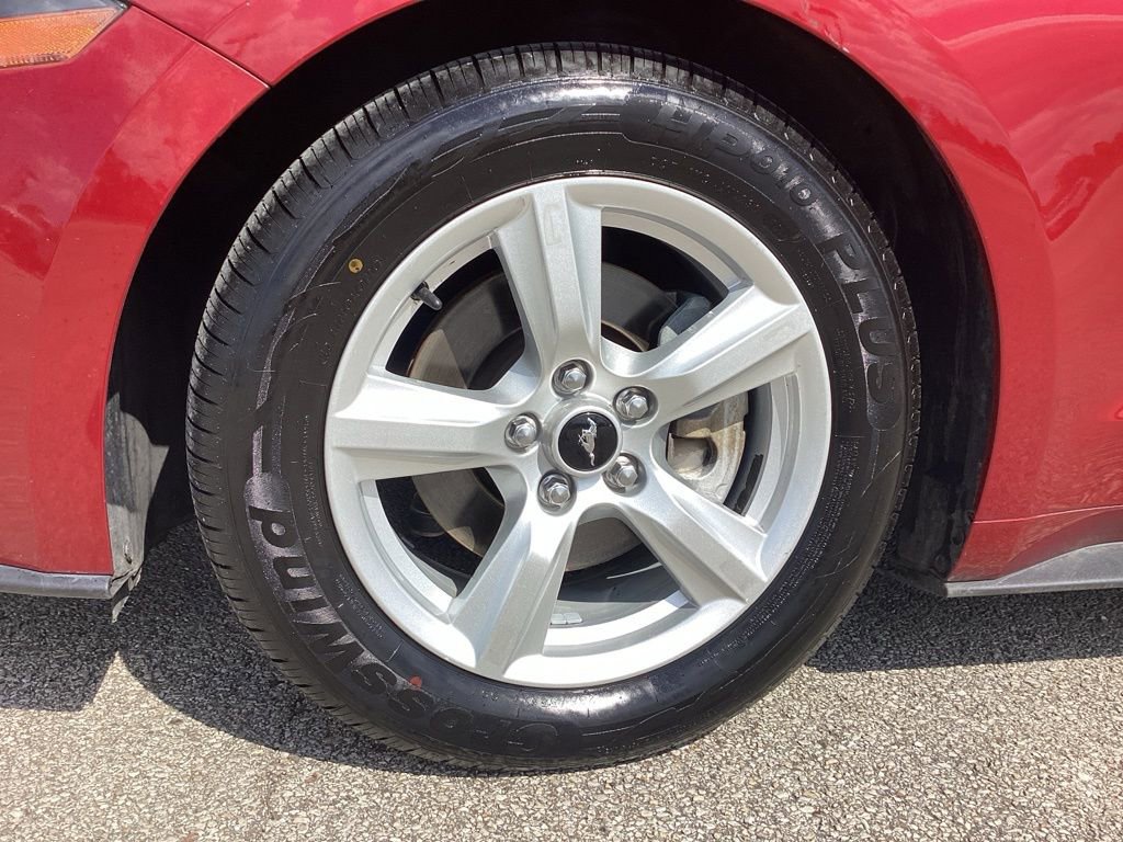 Used 2019 Ford Mustang Coupe image 15