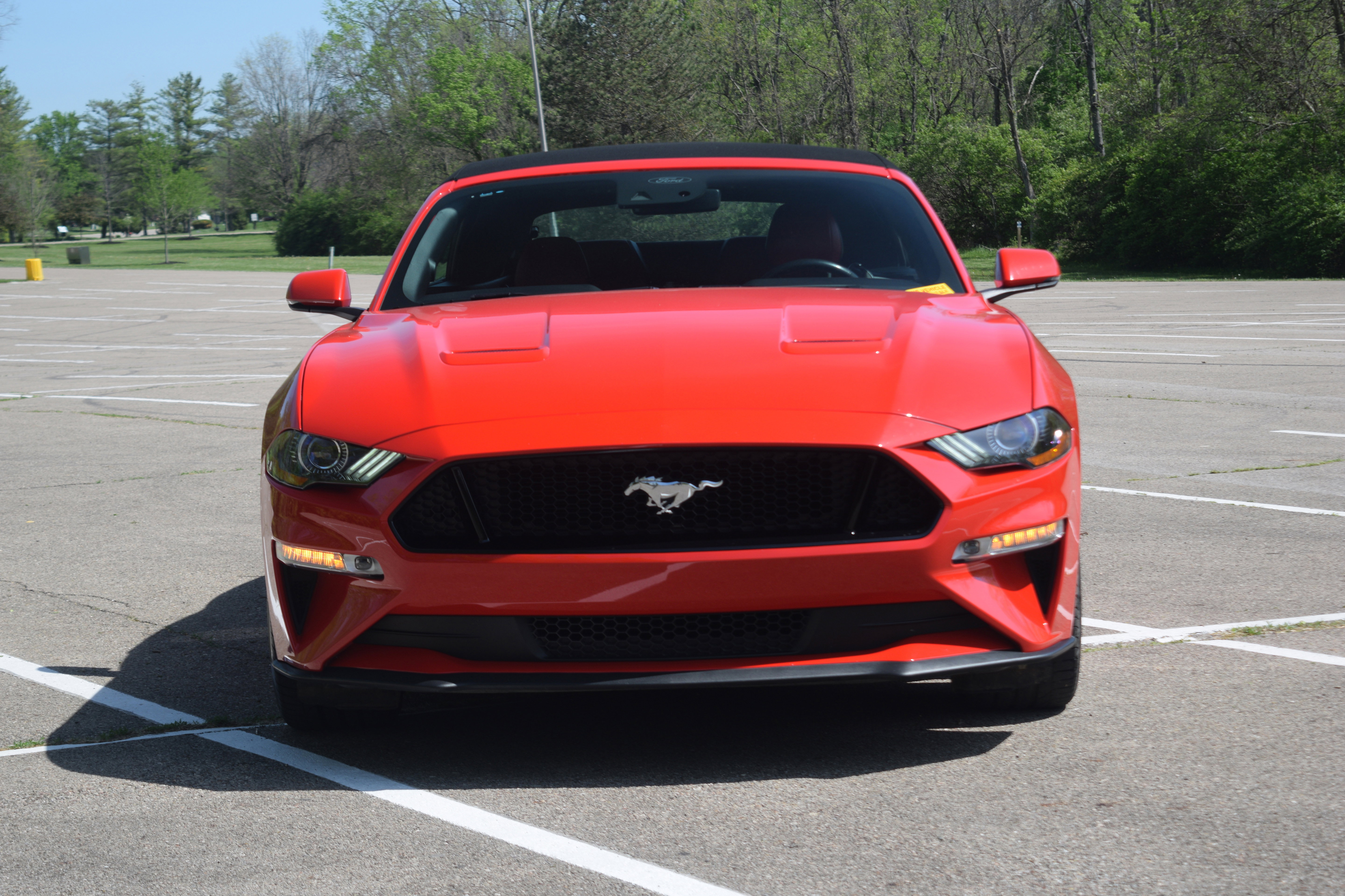 Used 2020 Ford Mustang GT Premium w/ Equipment Group 401A RWD image 18