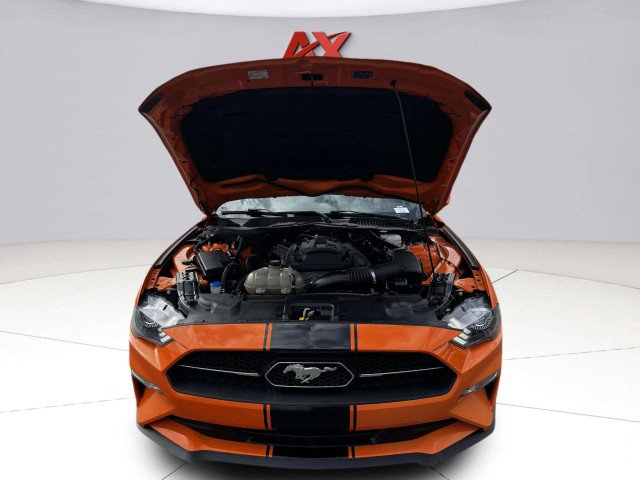 Used 2020 Ford Mustang Premium w/ Equipment Group 201A image 44