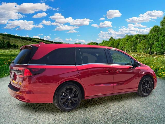 Used 2024 Honda Odyssey Sport image 6