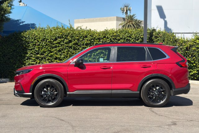 Certified 2025 Honda CR-V Sport image 8