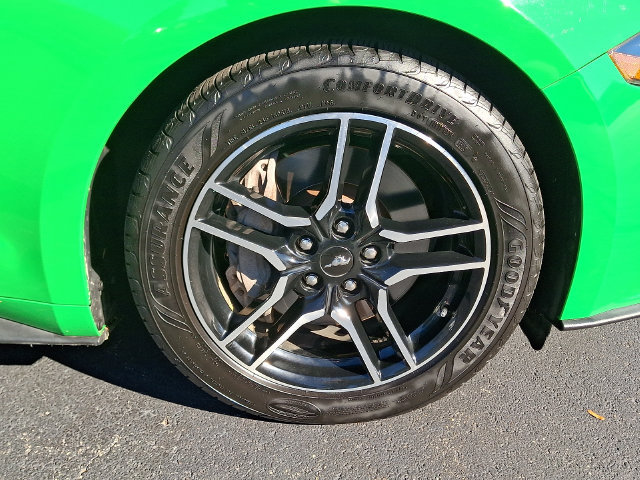 Used 2019 Ford Mustang GT RWD image 8