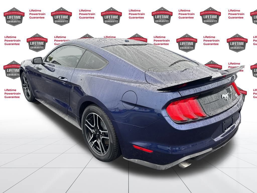 Used 2019 Ford Mustang Premium image 7