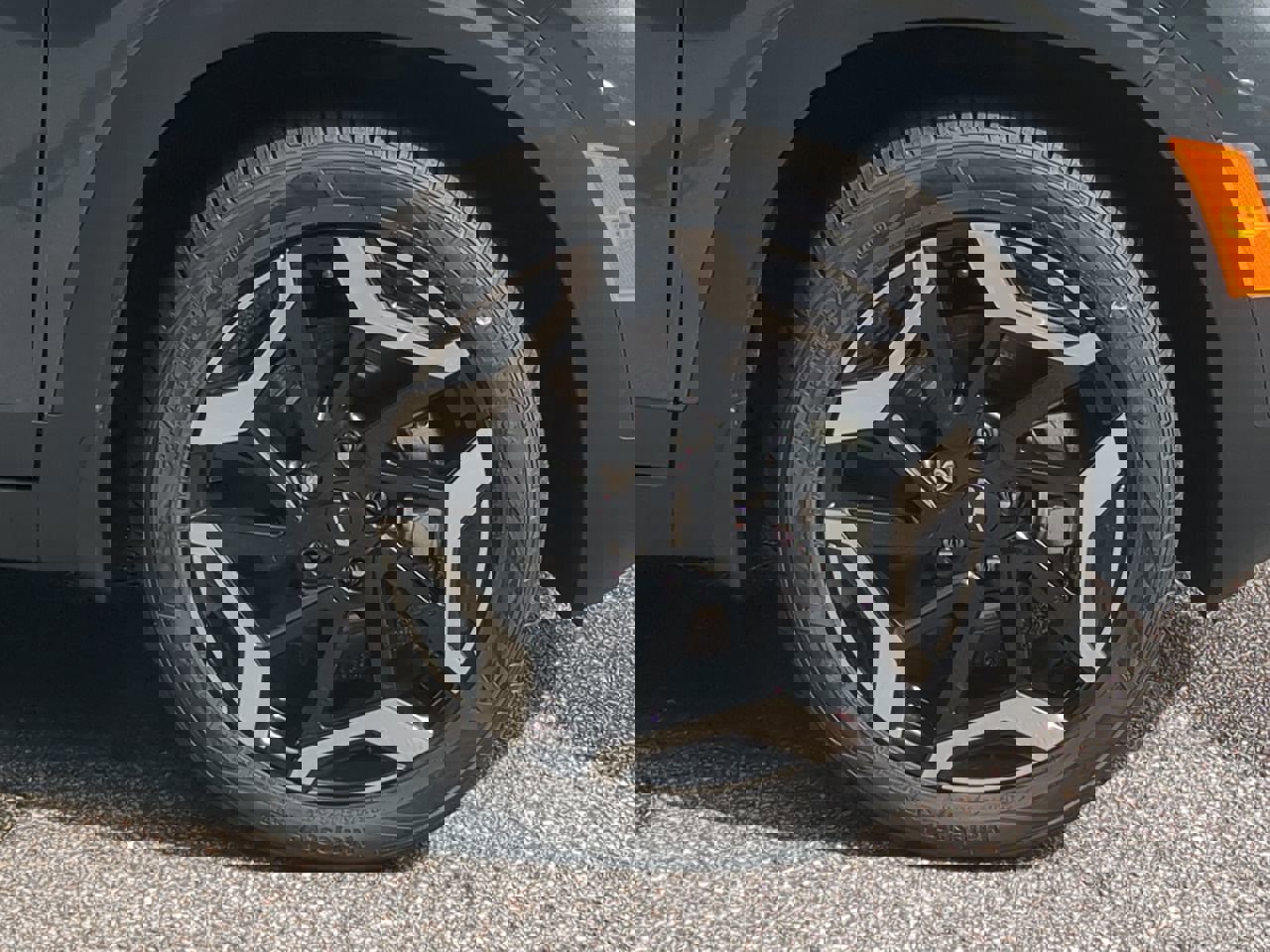 New 2026 Kia Seltos SX w/ SX Sunroof Package image 10