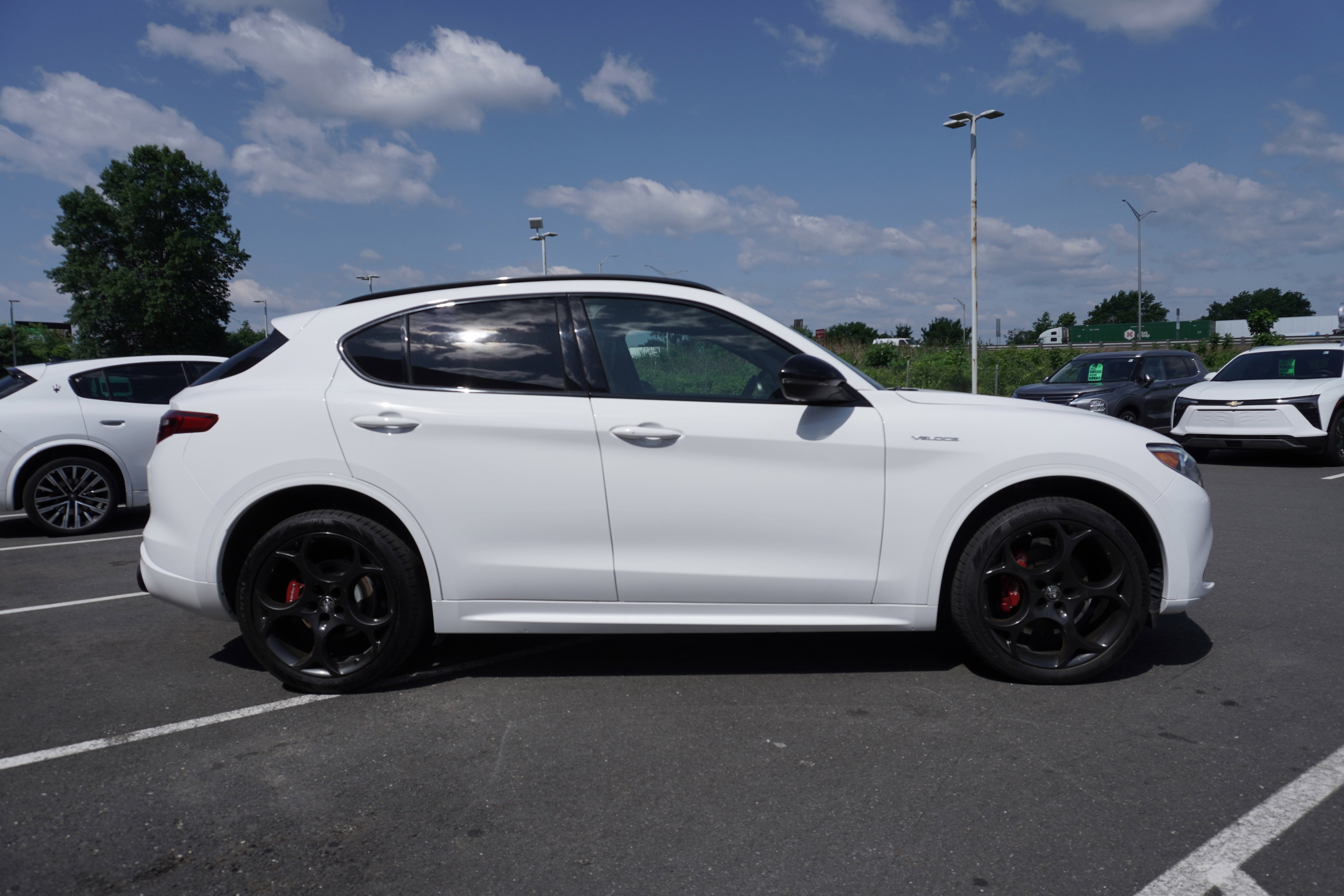 Used 2023 Alfa Romeo Stelvio Veloce image 5