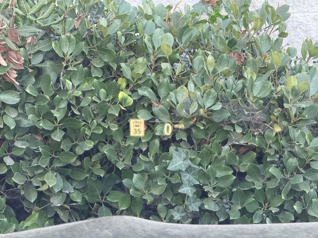 Used 2023 BMW 840i Coupe image 23