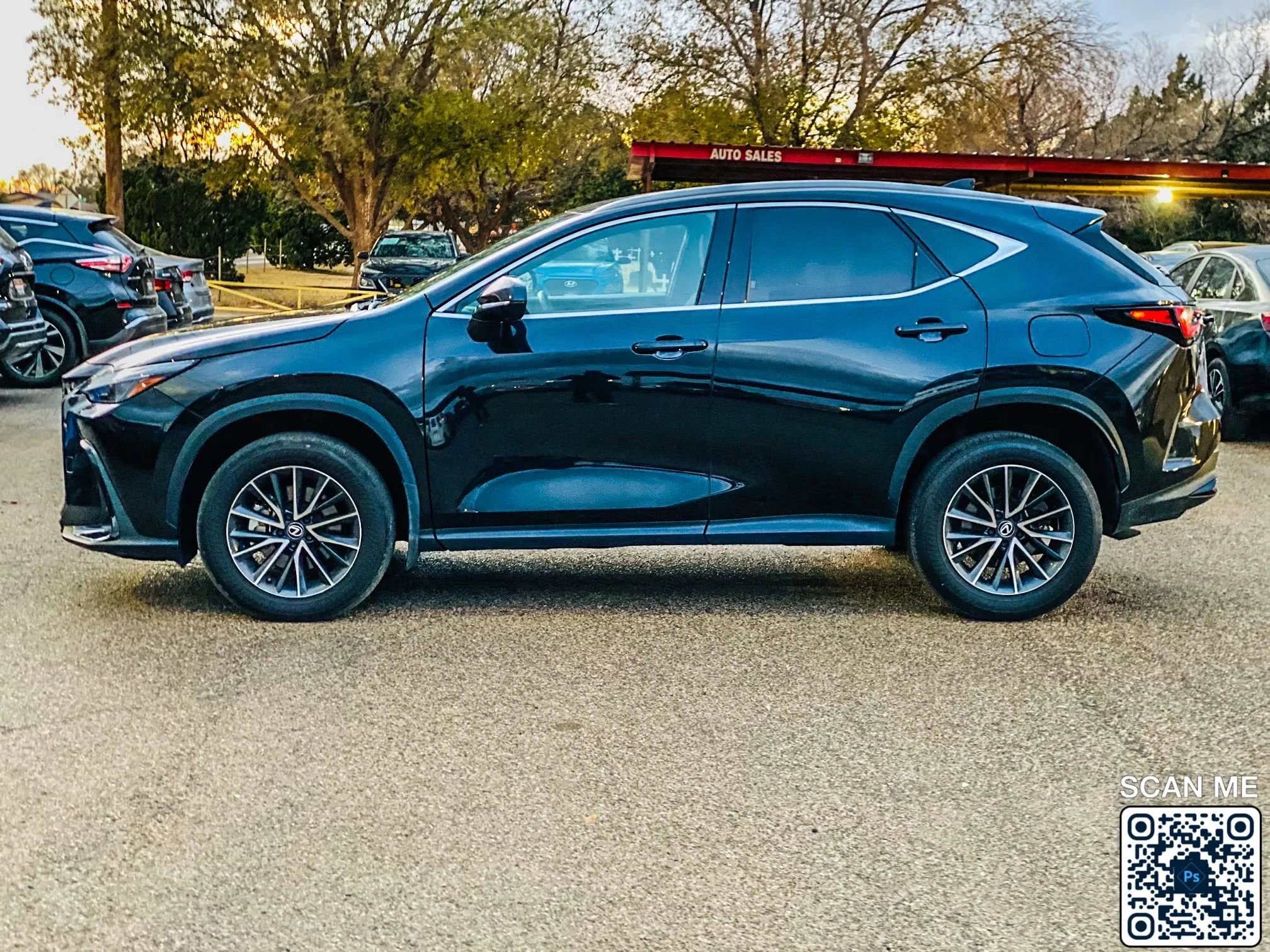 Used 2024 Lexus NX 350 AWD w/ Cold Area Package image 5