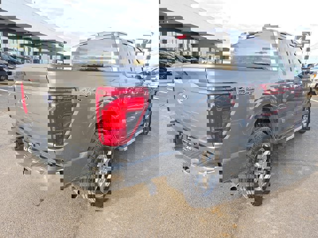 Used 2025 Ford F150 XLT w/ Equipment Group 301A Standard image 5