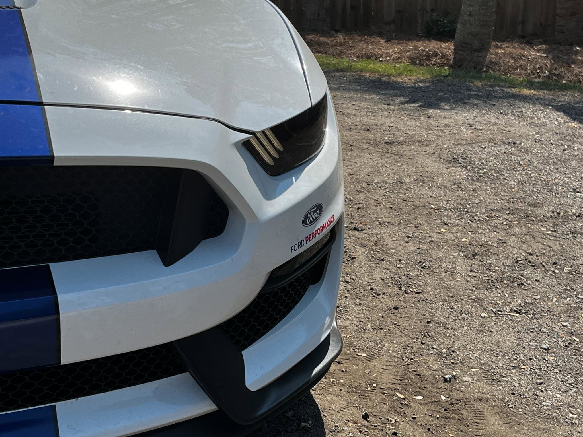 Used 2016 Ford Mustang Shelby GT350 w/ Technology Package image 27